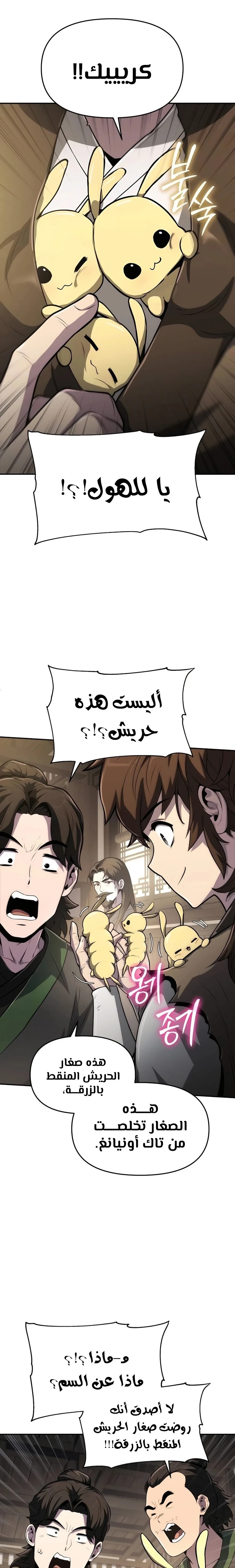 الصفحة 24