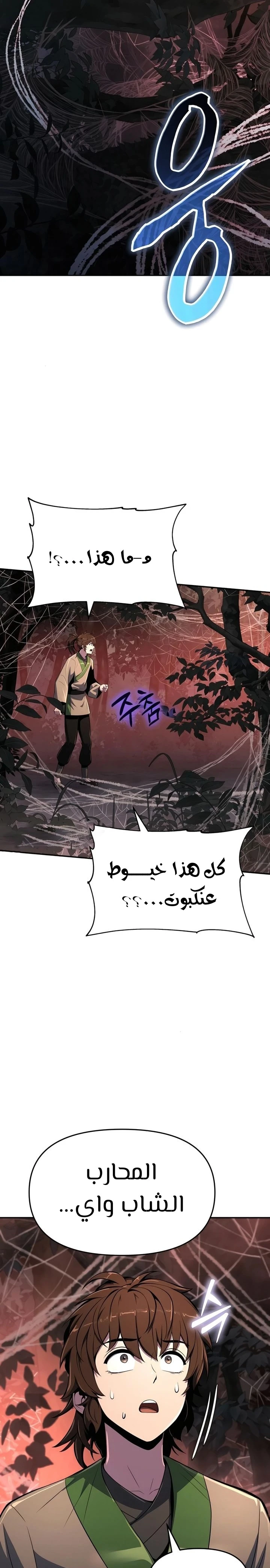 الصفحة 27