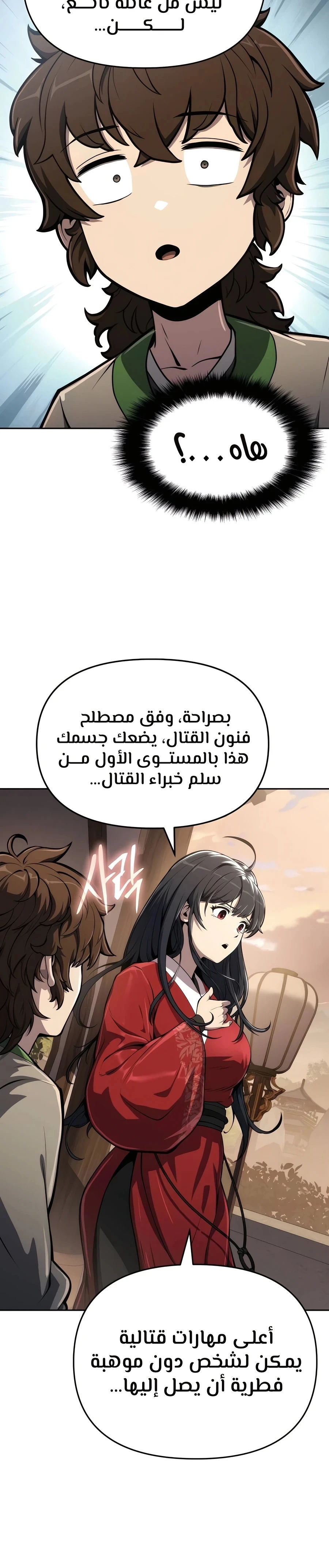 الصفحة 13