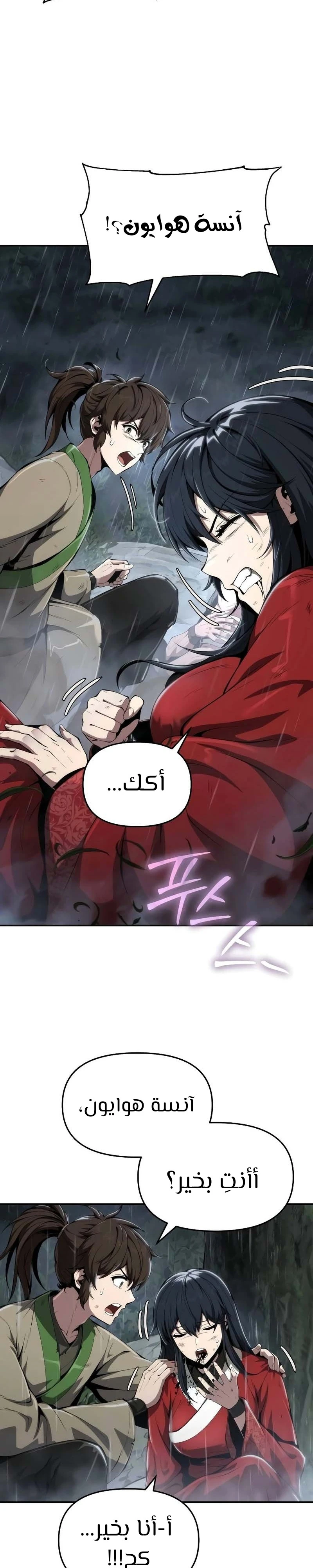 الصفحة 17