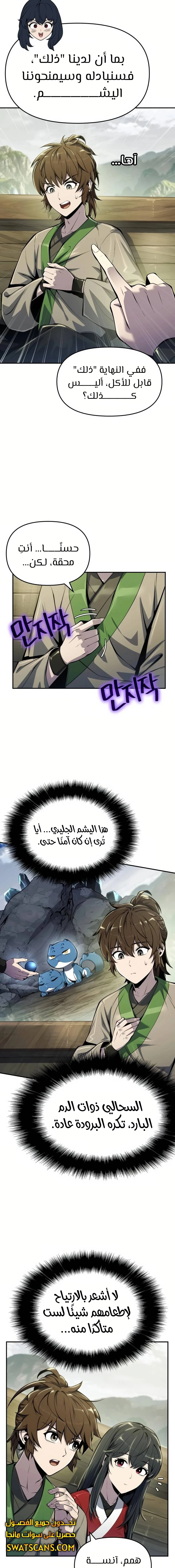 الصفحة 13