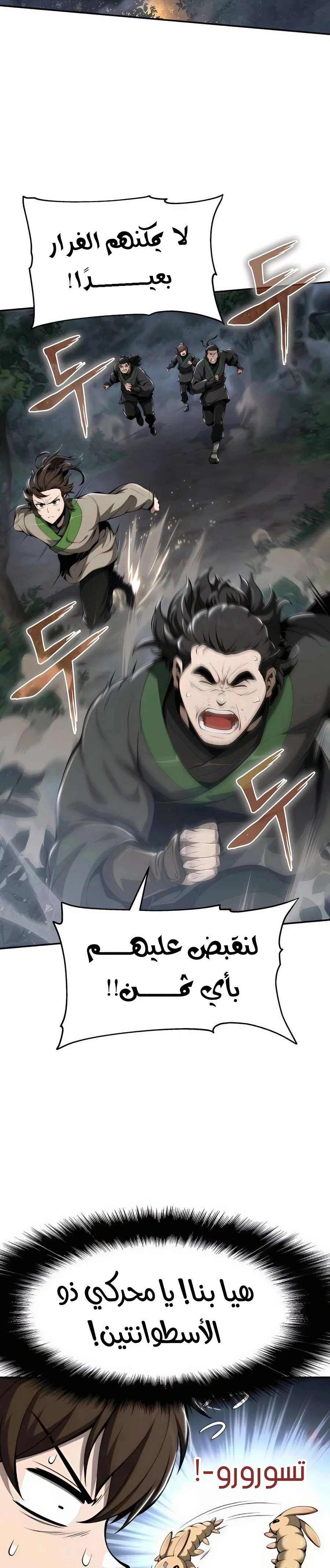 الصفحة 13