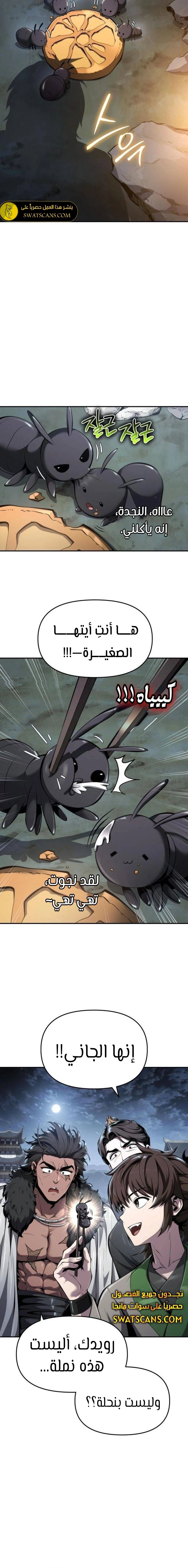 الصفحة 20