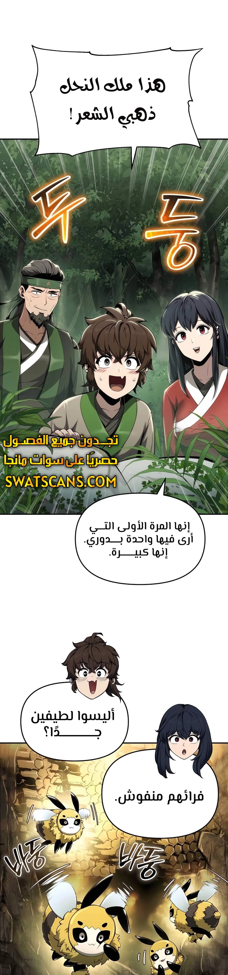 الصفحة 14