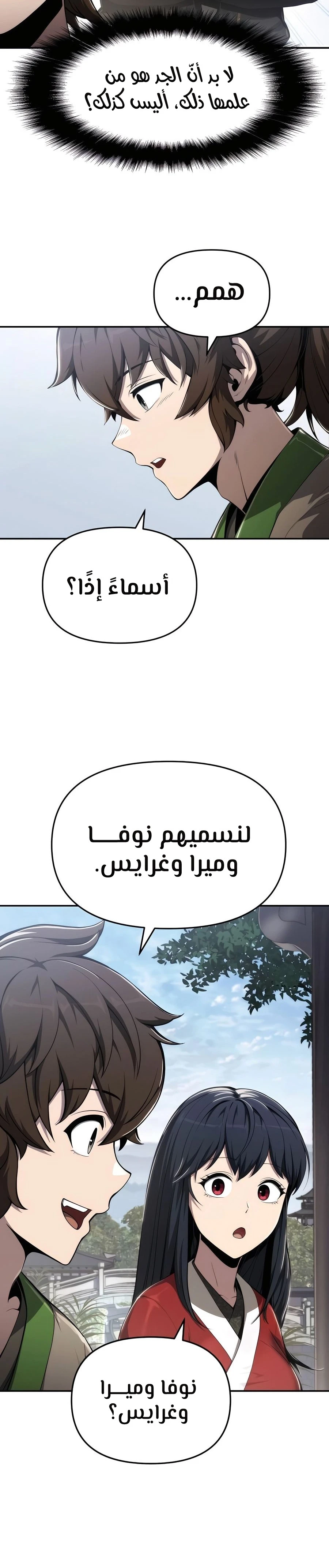 الصفحة 13