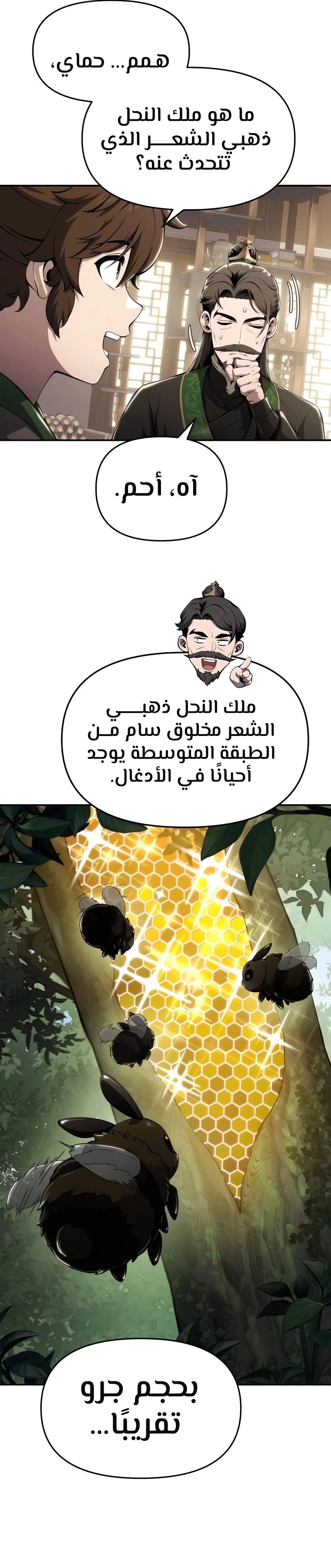 الصفحة 29