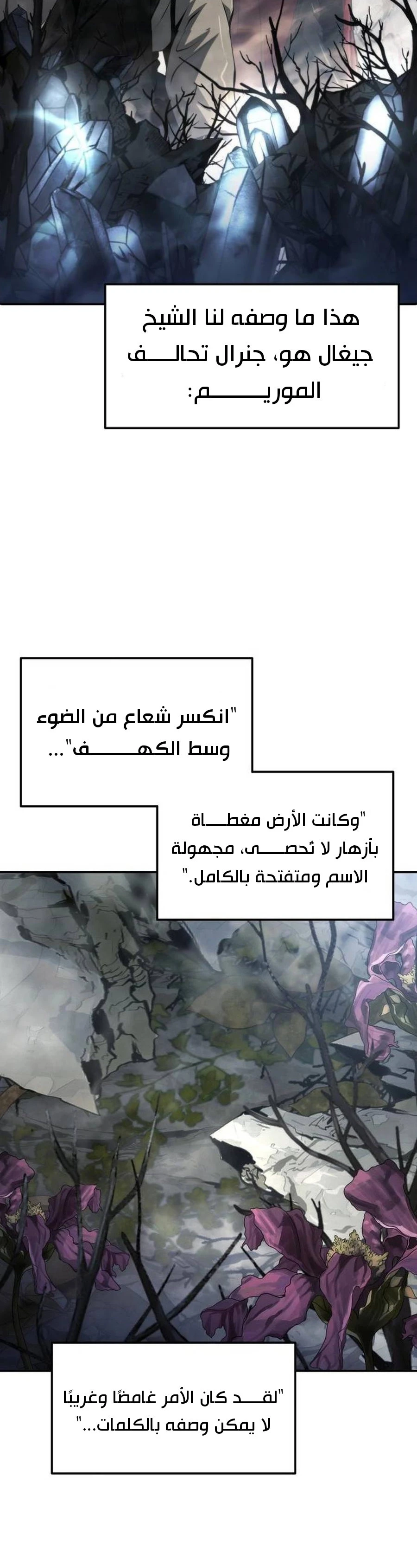 الصفحة 27