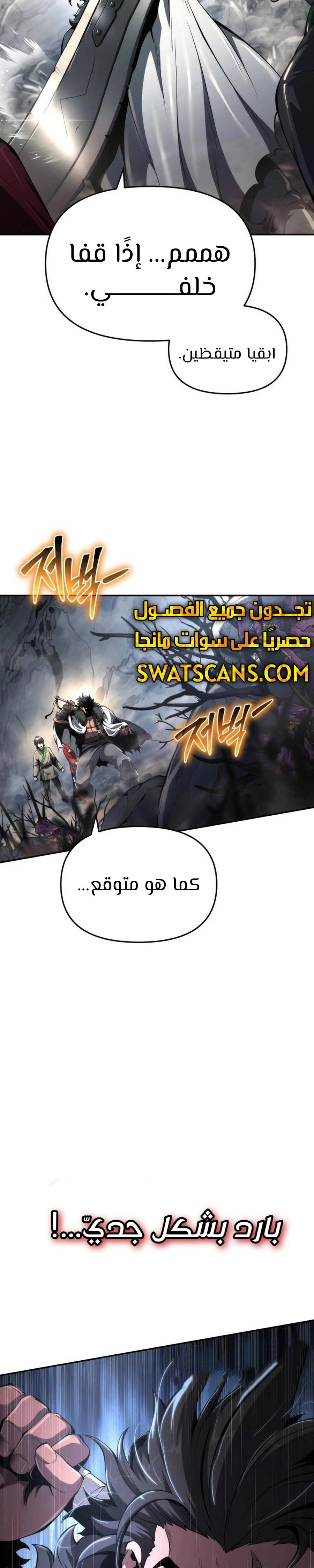 الصفحة 31