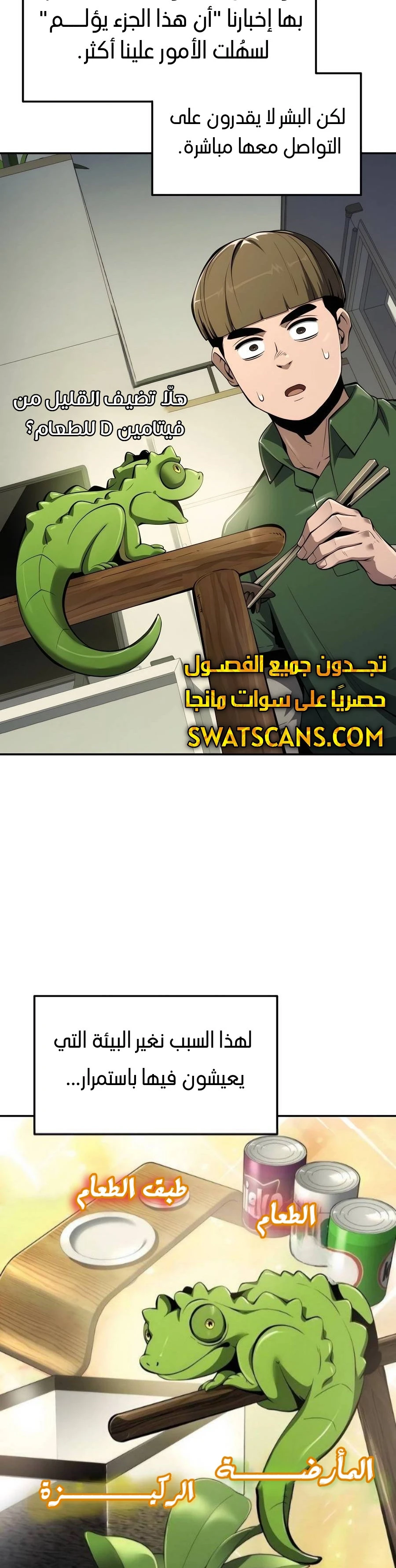 الصفحة 12