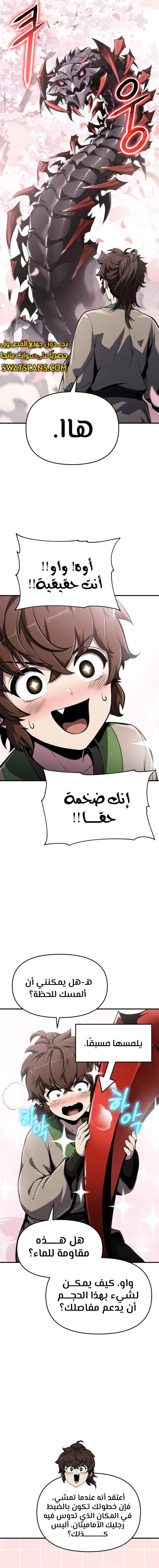 الصفحة 17