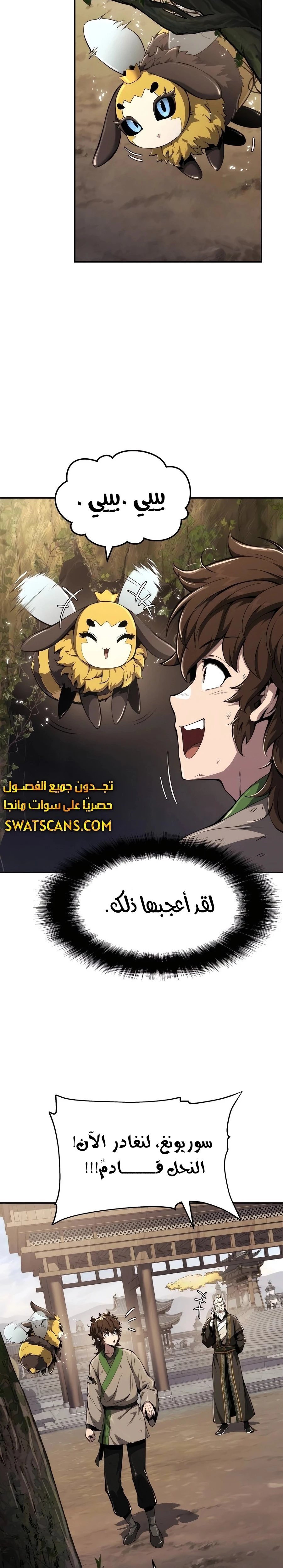 الصفحة 17