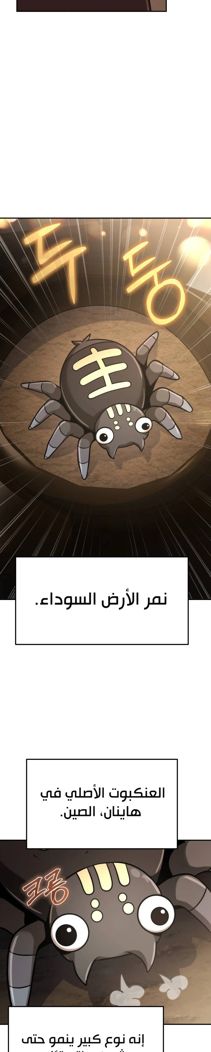 الصفحة 20