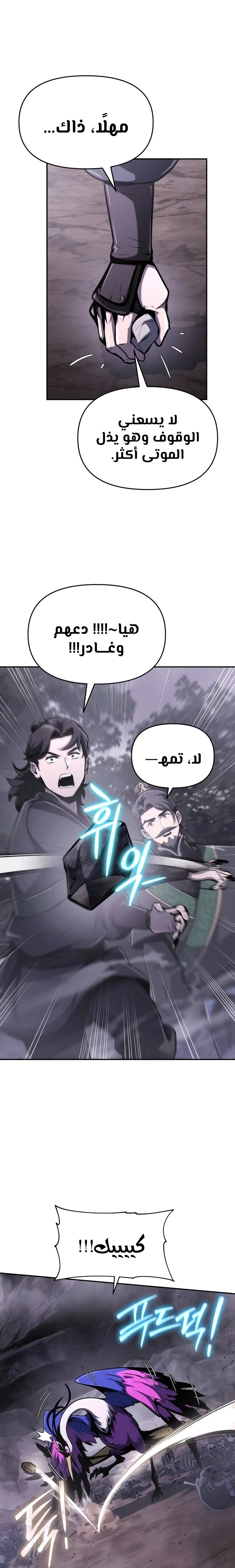 الصفحة 25