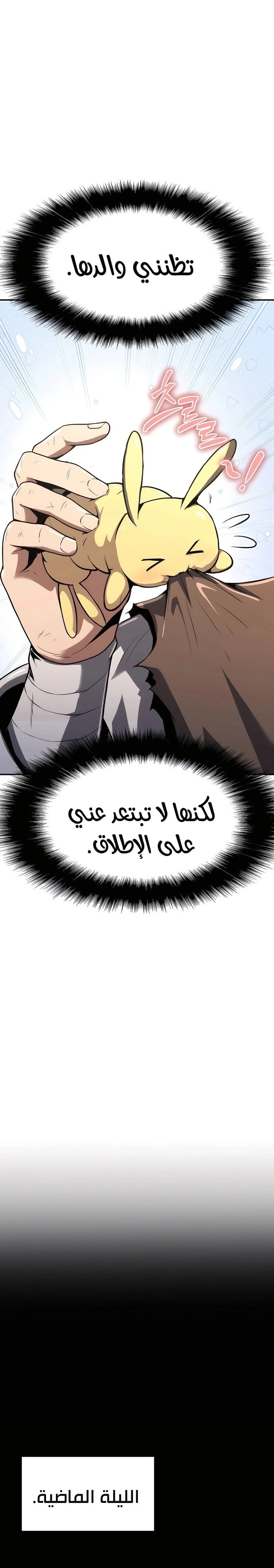 الصفحة 13