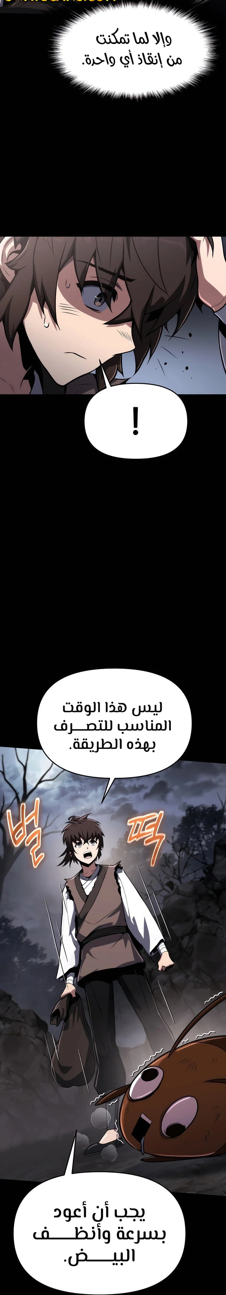 الصفحة 19