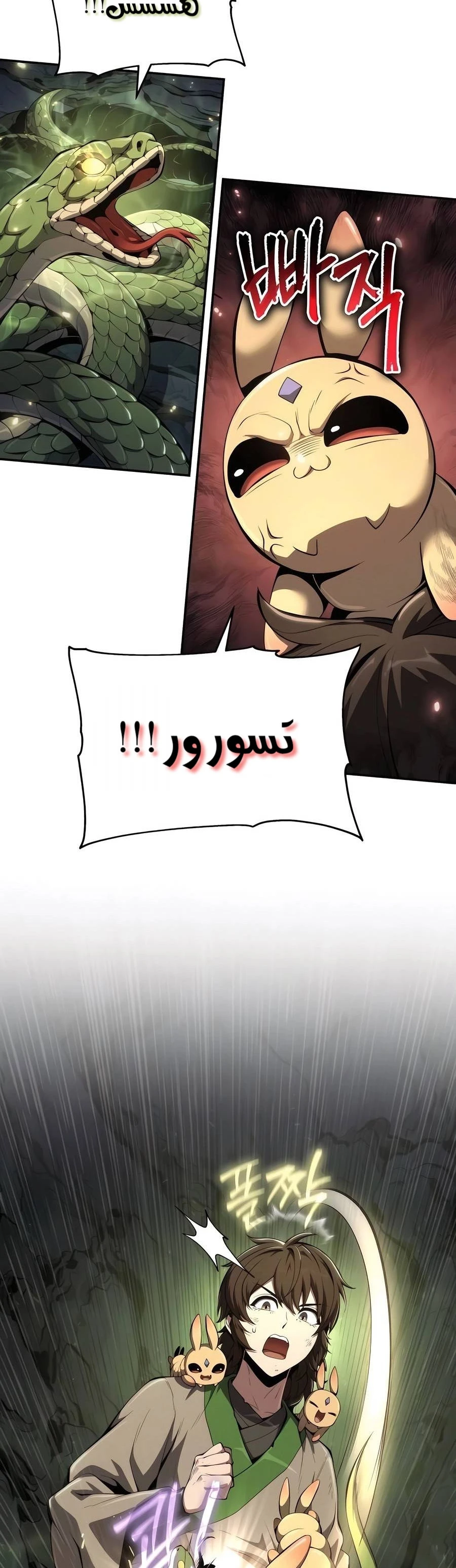 الصفحة 11