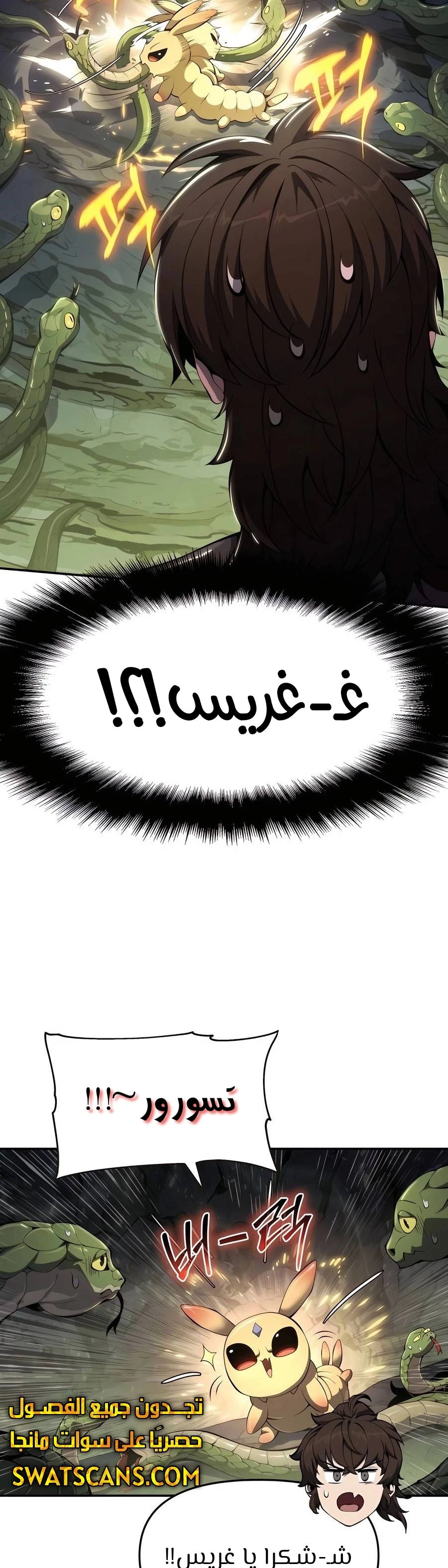 الصفحة 13