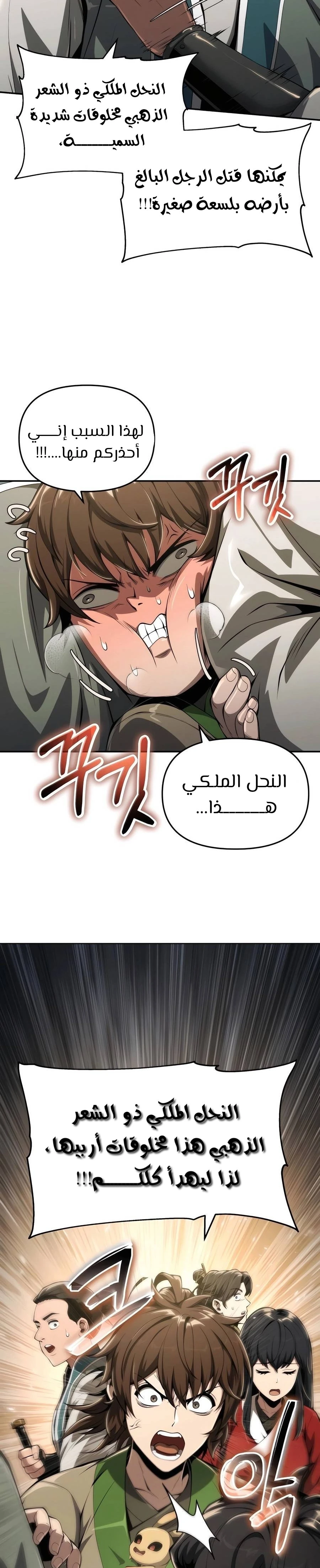 الصفحة 16