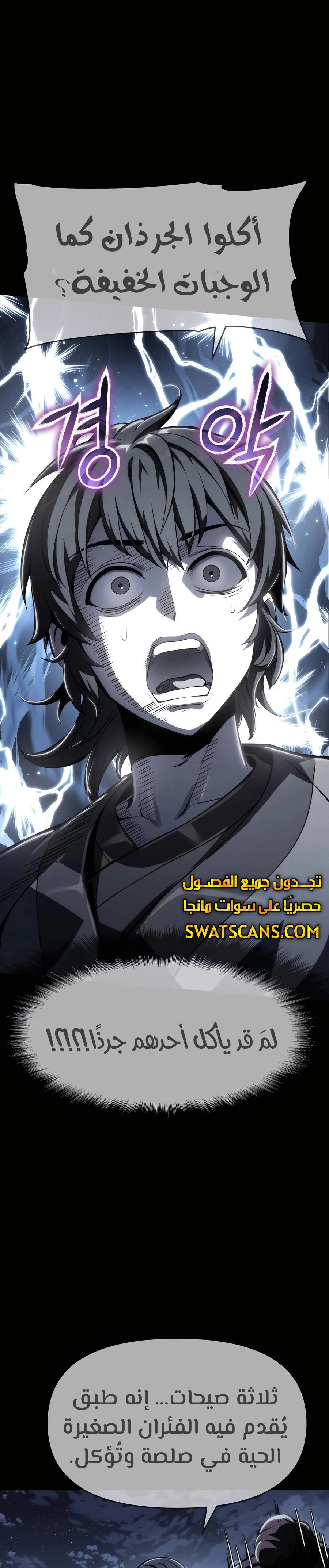 الصفحة 27