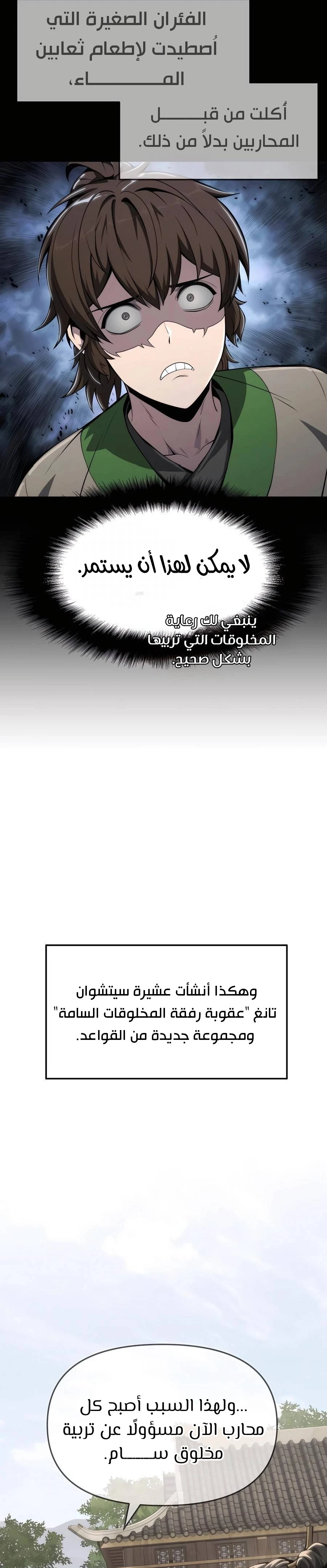 الصفحة 29