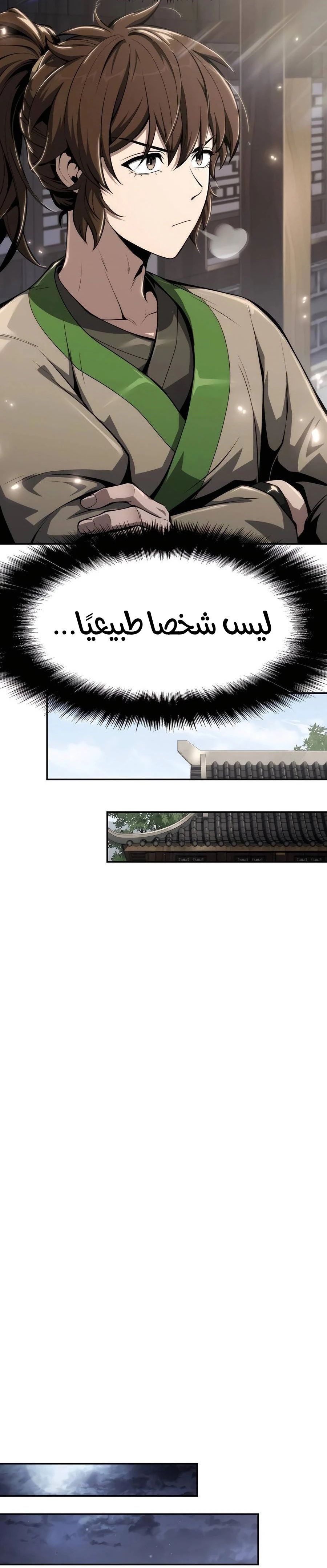 الصفحة 31