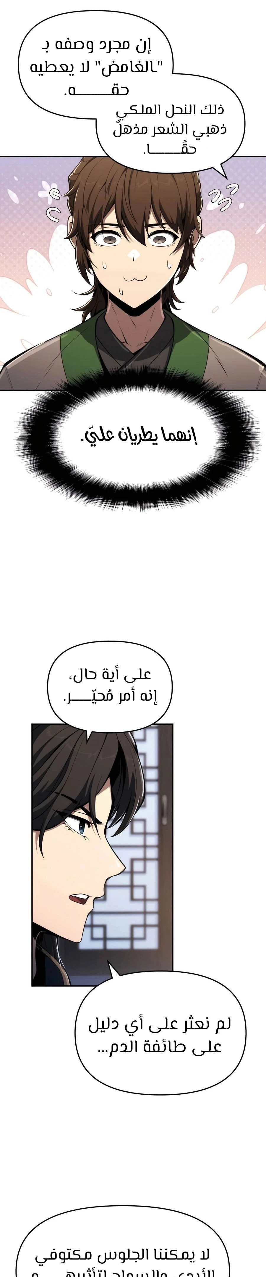 الصفحة 33