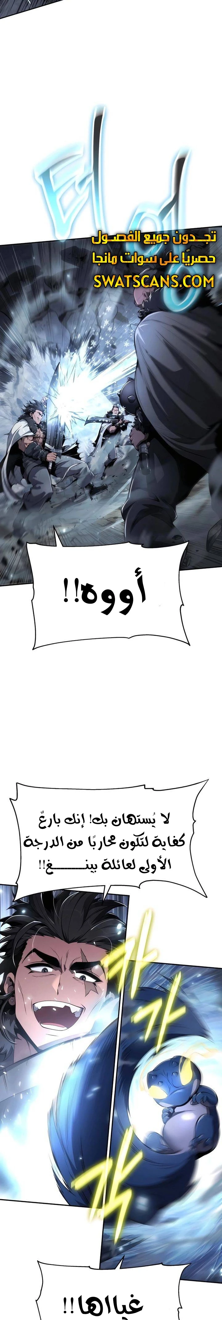 الصفحة 17