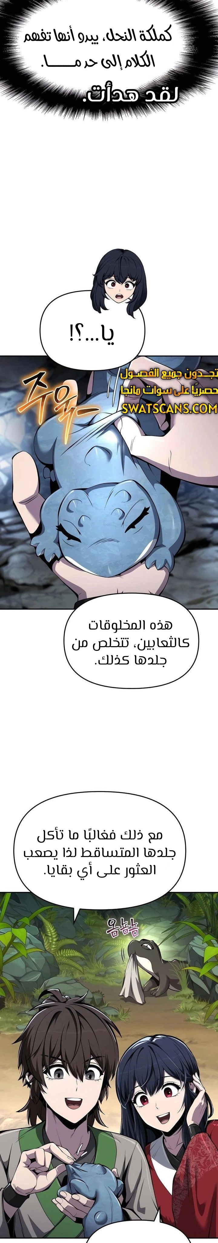 الصفحة 27