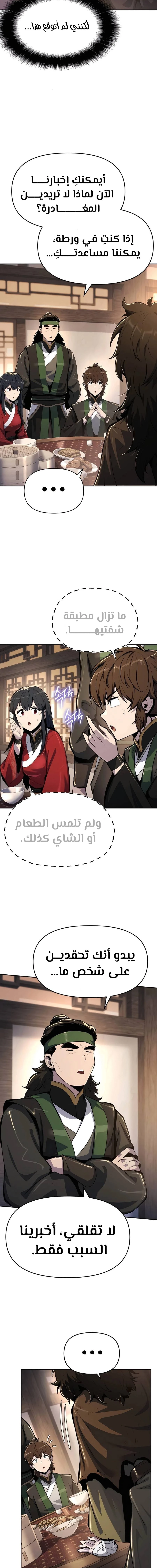 الصفحة 17