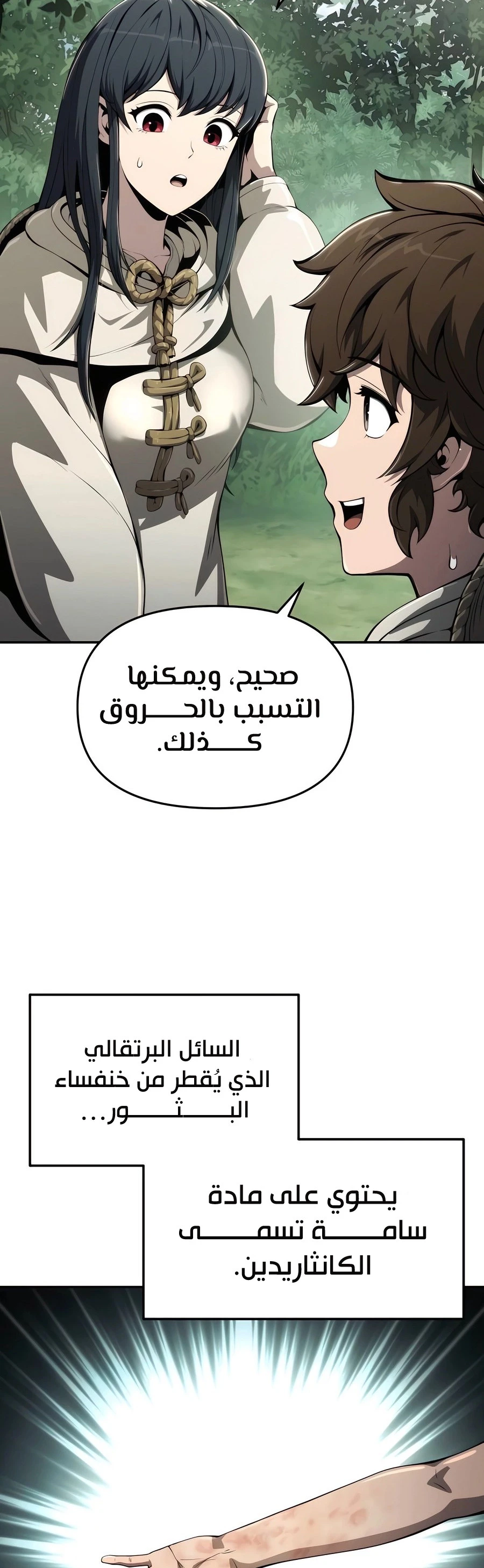 الصفحة 12