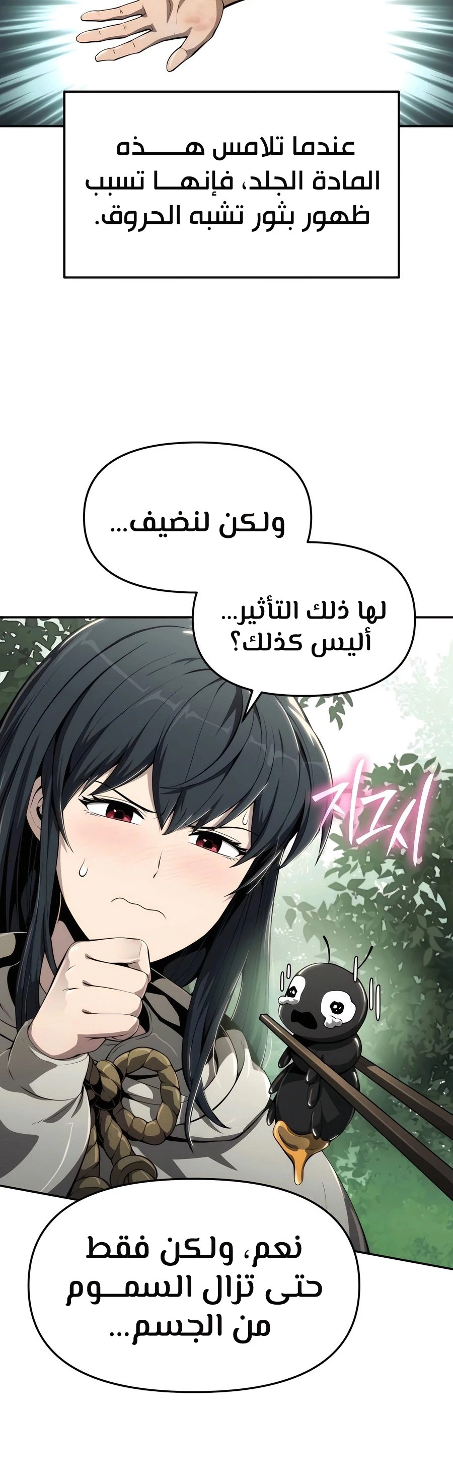 الصفحة 13