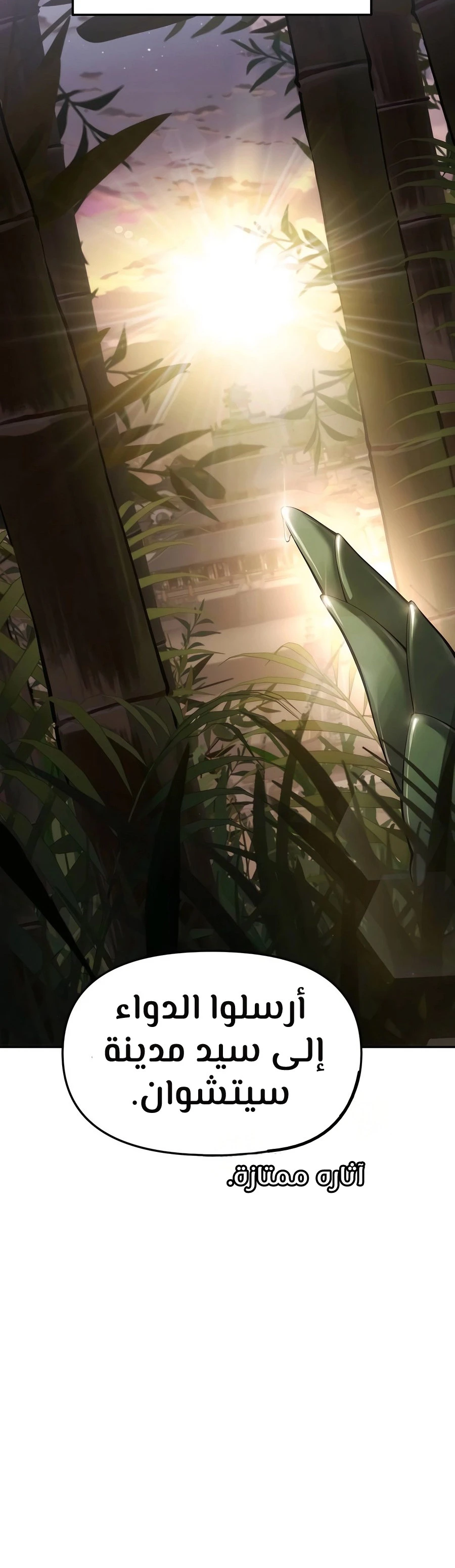 الصفحة 51