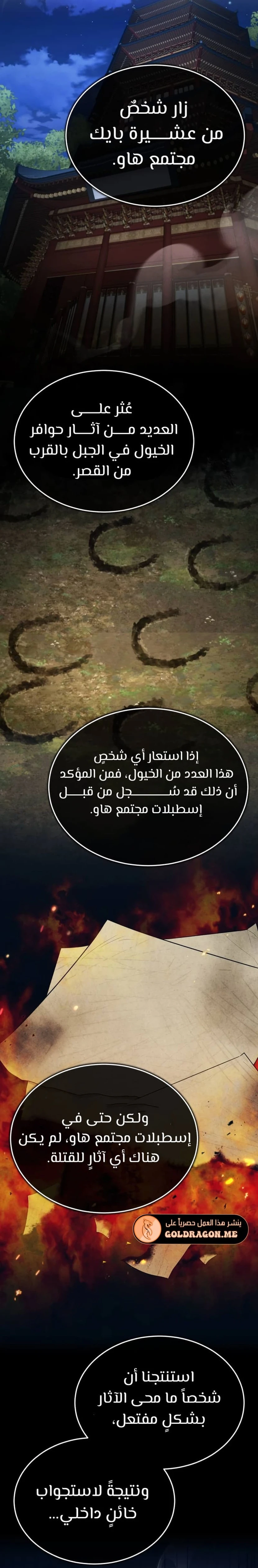 الصفحة 17