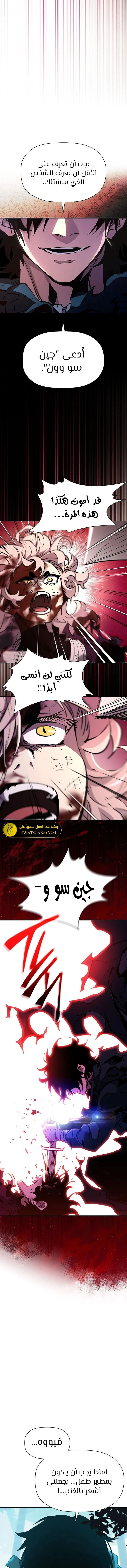 الصفحة 17