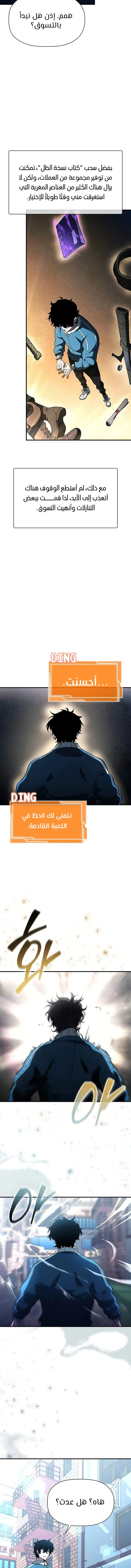 الصفحة 13