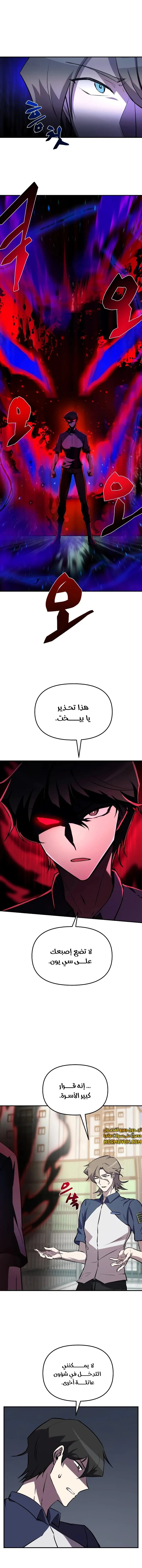 الصفحة 17
