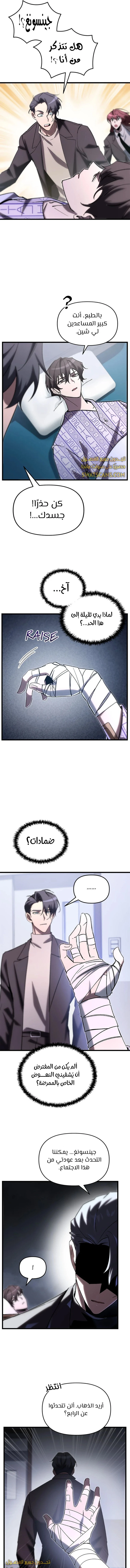 الصفحة 13