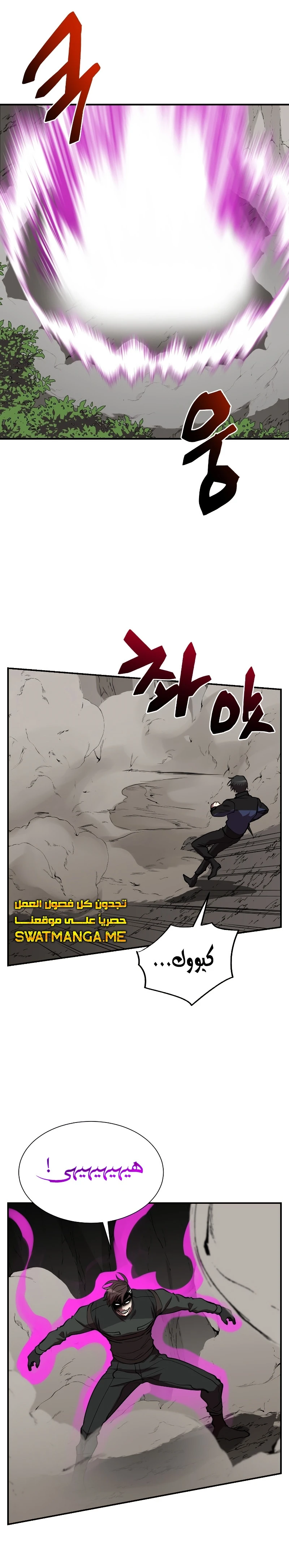 الصفحة 13