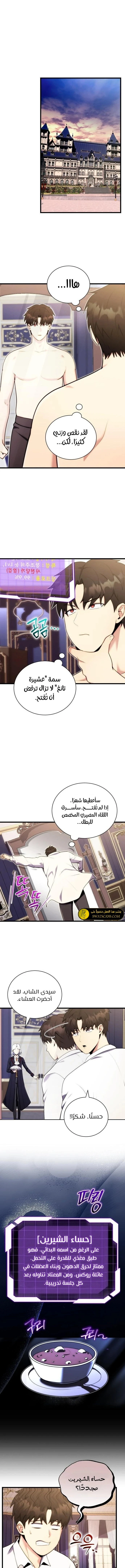 الصفحة 13