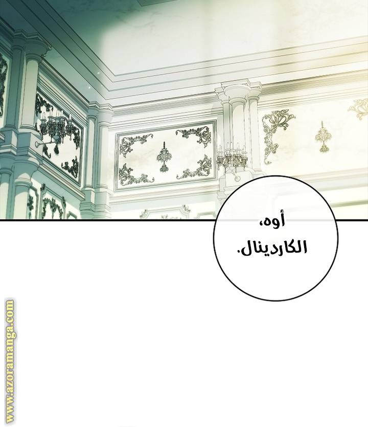 الصفحة 27
