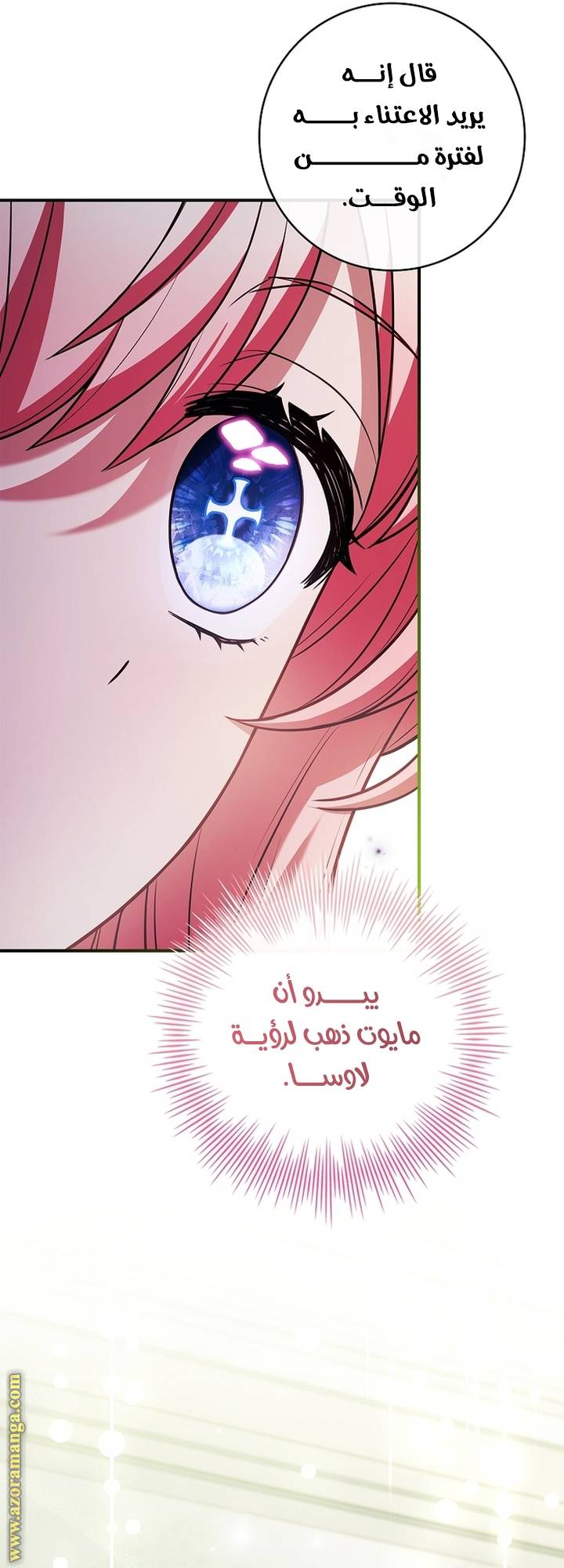 الصفحة 29
