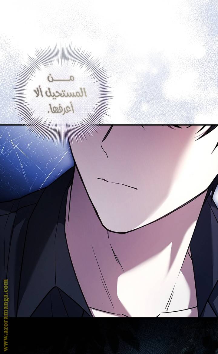 الصفحة 39