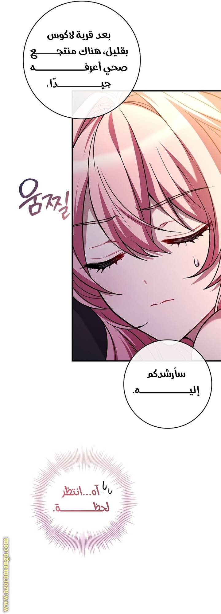 الصفحة 47