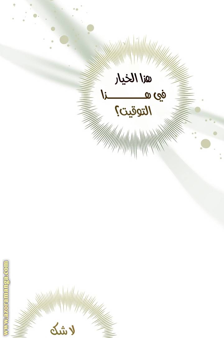 الصفحة 73