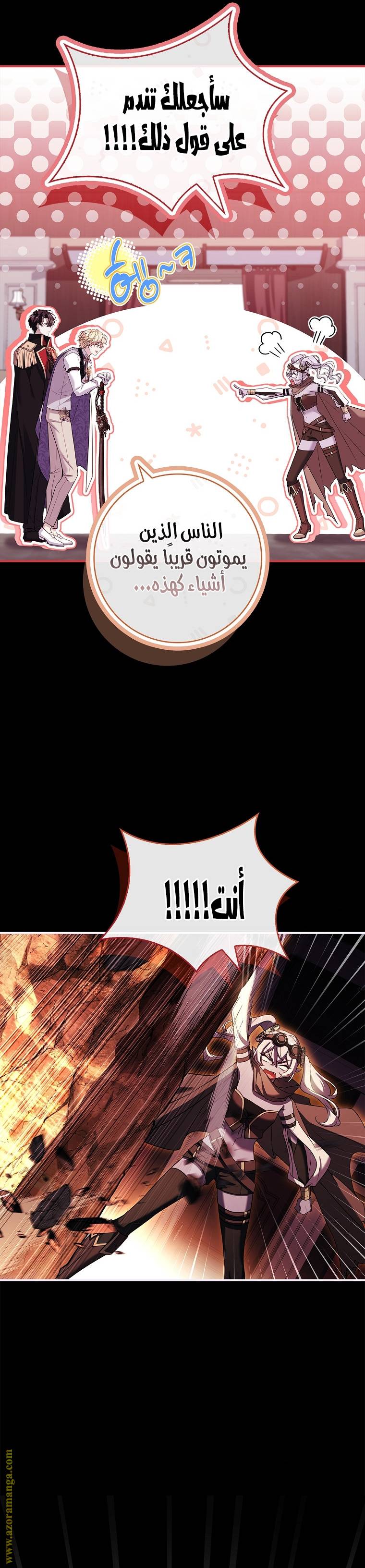 الصفحة 26