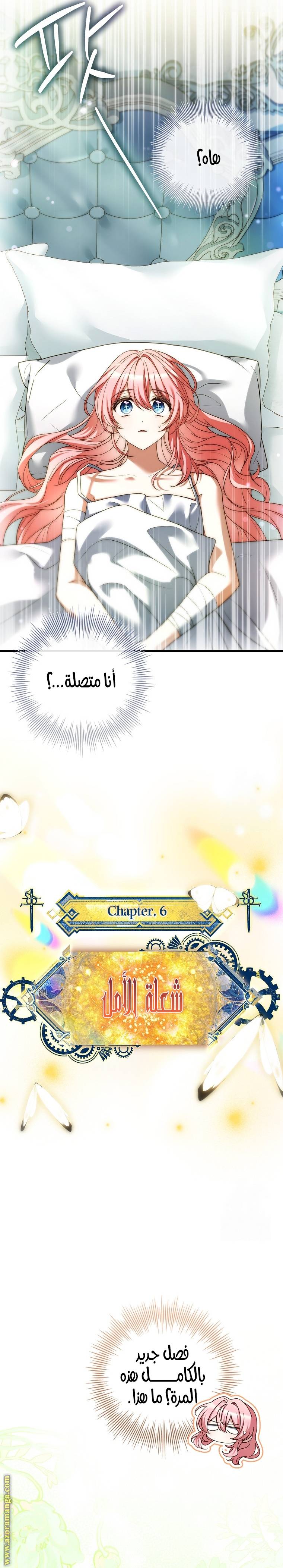 الصفحة 17