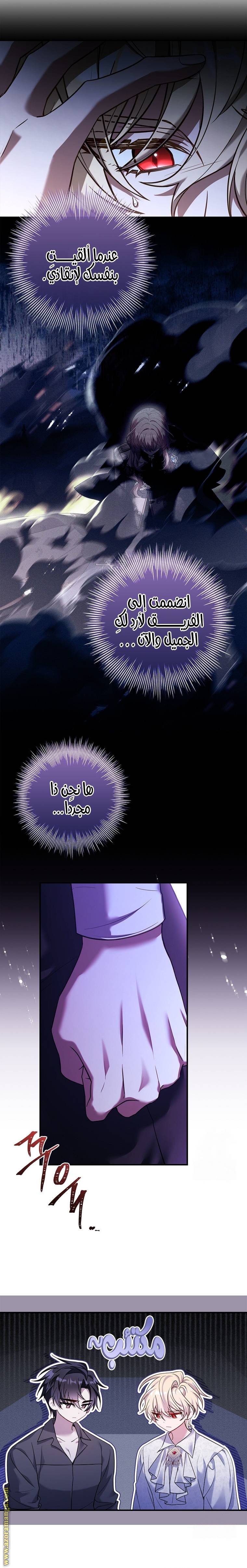 الصفحة 25