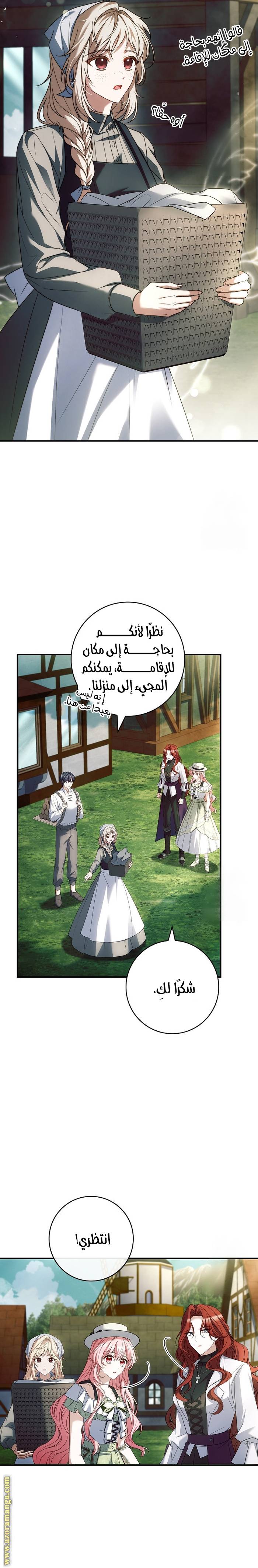 الصفحة 17