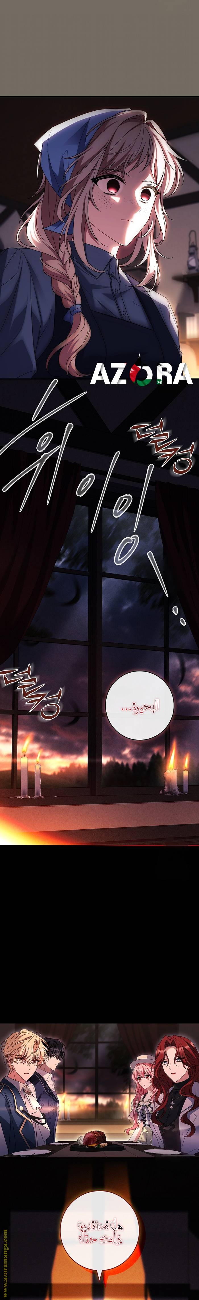 الصفحة 24