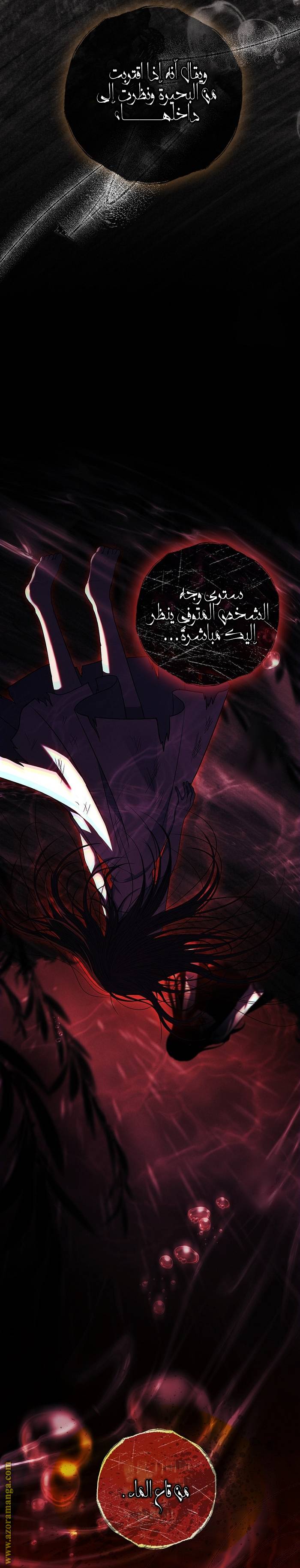 الصفحة 29